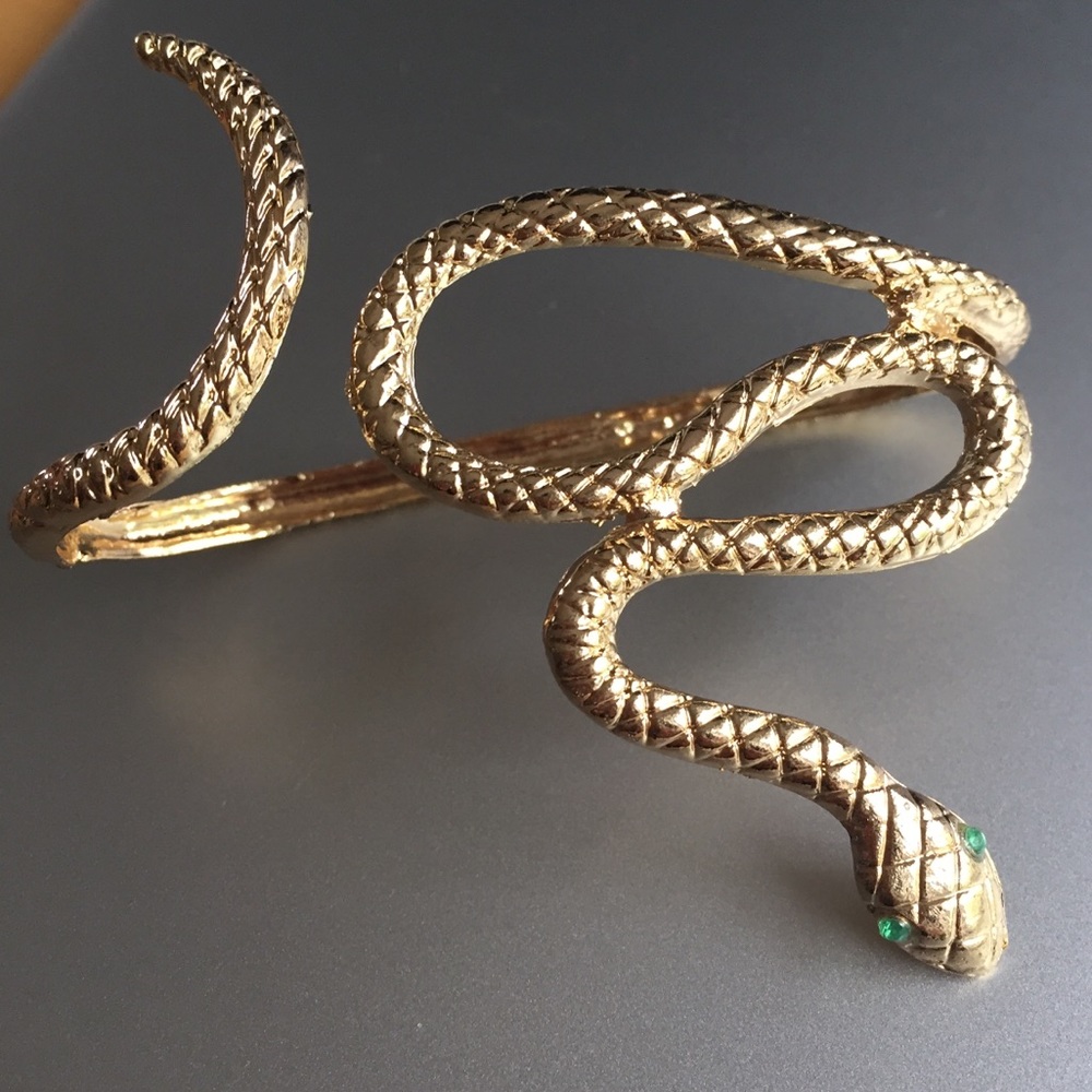 Snake handcuff